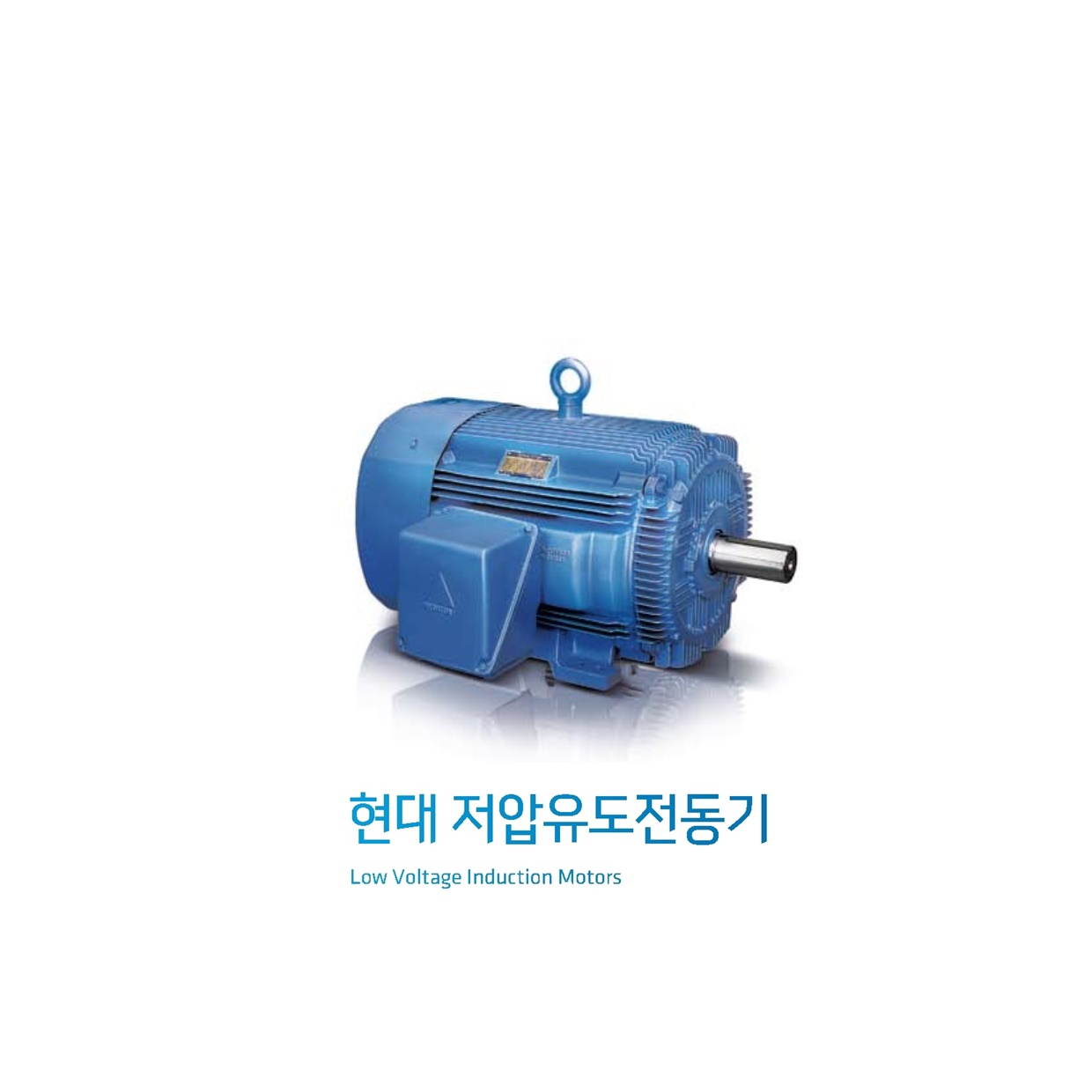 현대모터 이미지2