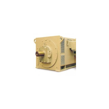 고압모터 High Voltage Motor