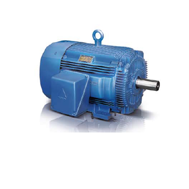 안전증 방폭형 전동기 EG3 Explosion-proof Motor