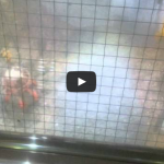 인버터 적용 소각장 직캠 crane Inverters apply incineration crane